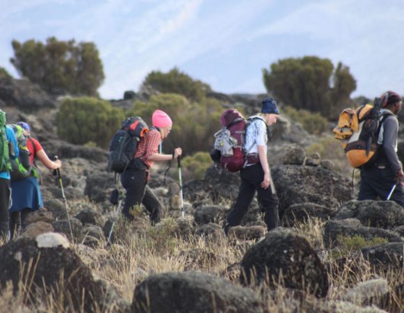 7 Days Machame Route - Mt. Kilimanjaro Climbing