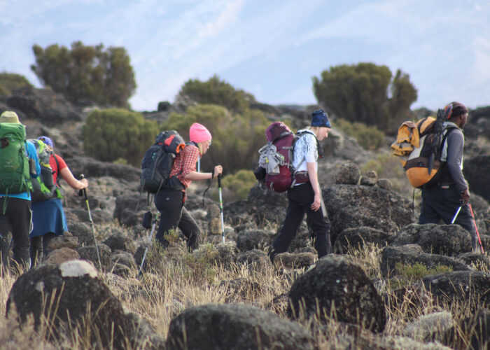 7 Days Machame Route - Mt. Kilimanjaro Climbing