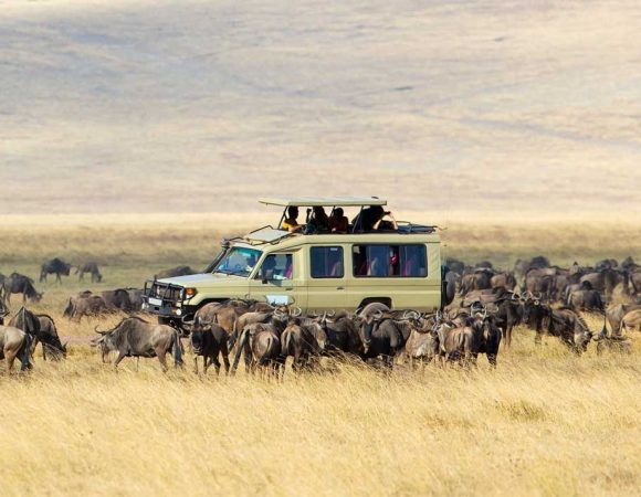 When is the best time to go to Tanzania?