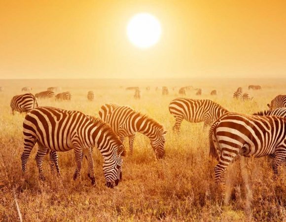 What to see in Tanzania?