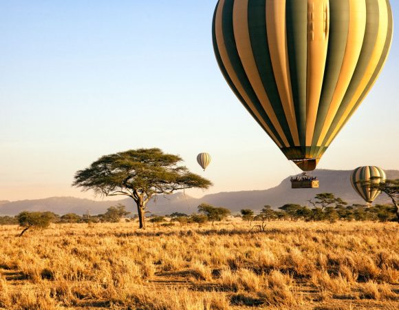 11 DAYS TANZANIA VILLAS EXPERIENCE SAFARI