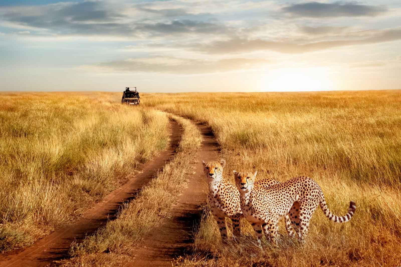 Serengeti National Park