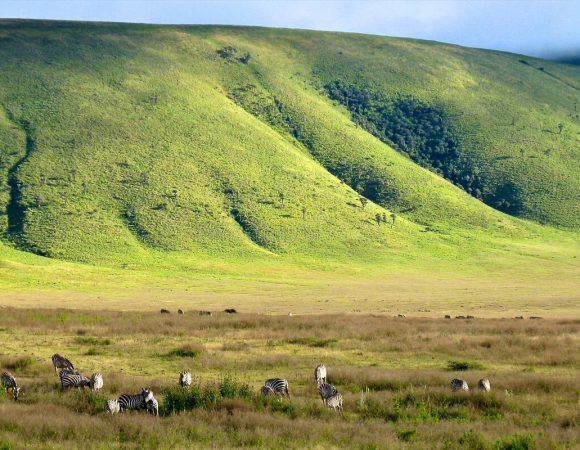 What is the landscape and wildlife like in Tanzania?