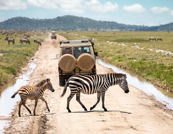 10 DAYS SIGNATURE TANZANIA EXCLUSIVE SAFARI