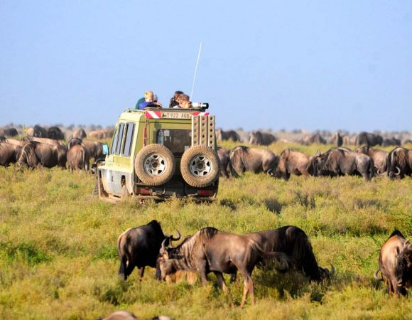 10 DAYS TANZANIA LUXURY SKY SAFARI