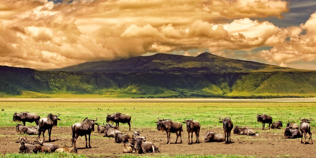 Ngorongoro Crater