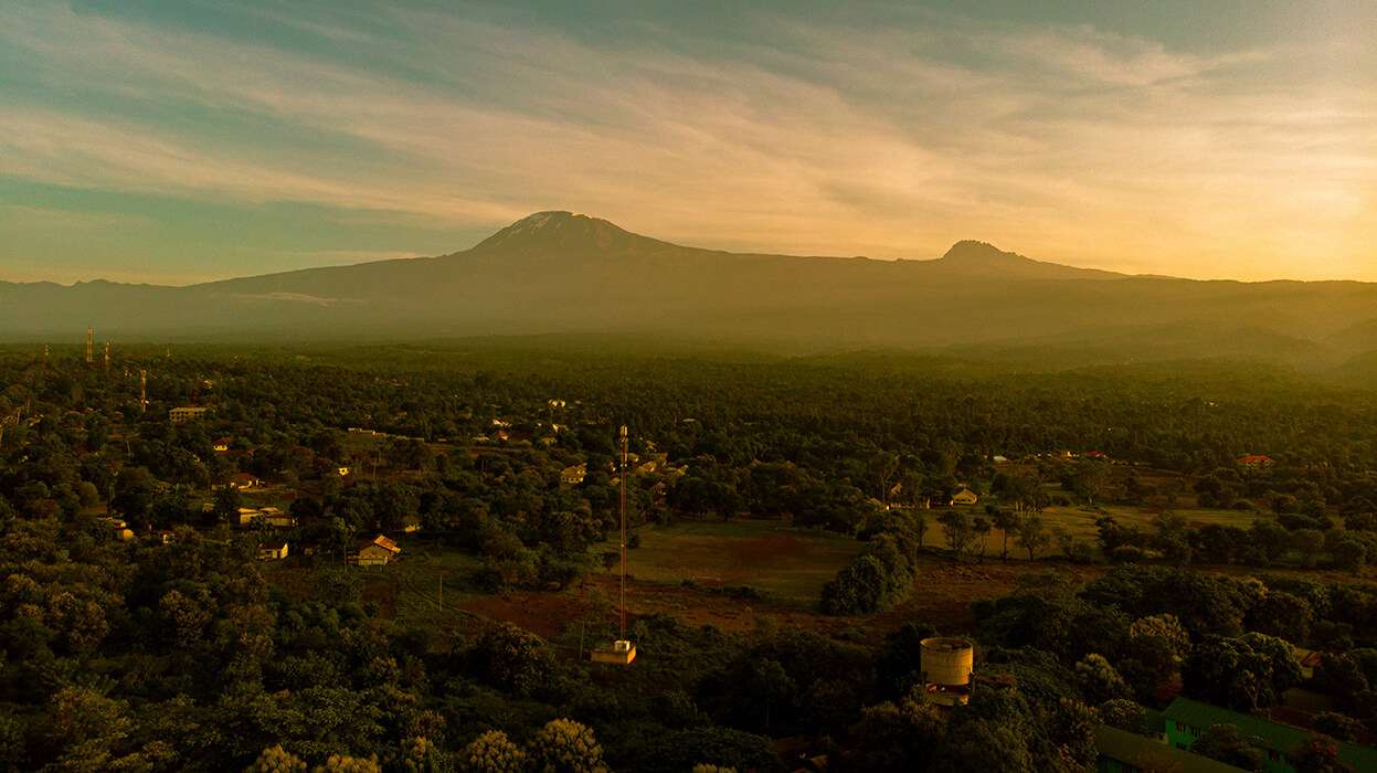 Manyara National park