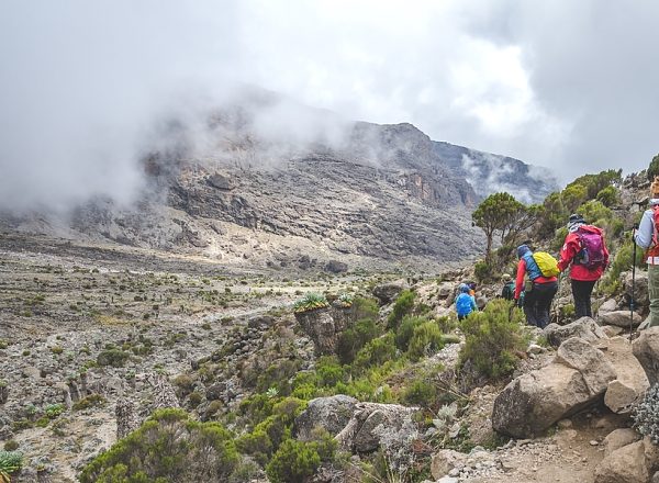 DAY HIKE TO MT KILIMANJARO